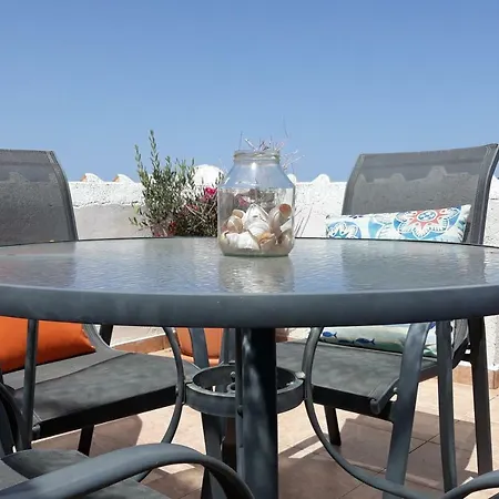 Siblings Nest 1 * Polis