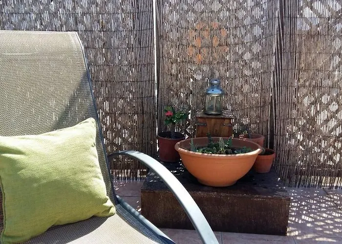 Siblings Nest 1 Polis