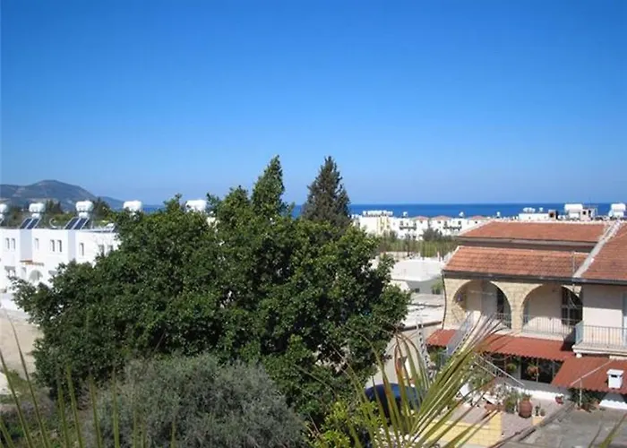 Siblings Nest 1 Polis