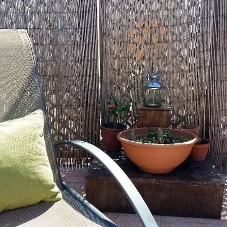 Siblings Nest 1 Polis