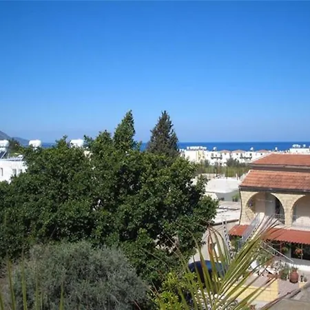 Siblings Nest 1 Polis